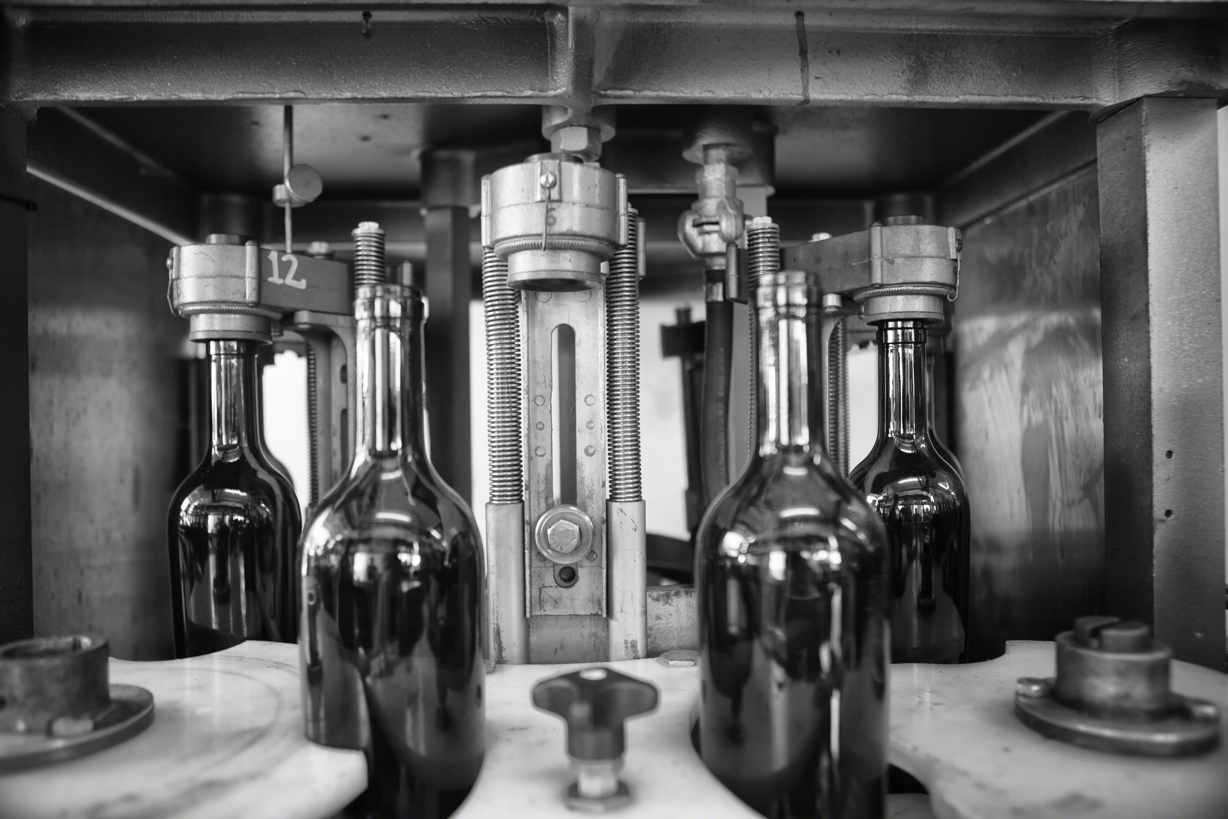 Bottles of Jax wines being bottled